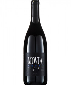 Magnums & Jeroboams Modri Pinot - movia.si