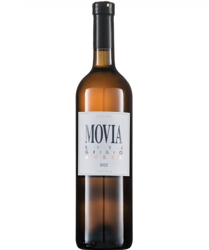Movia Pinot Gris, Ambra 2022 - movia.si Movia Pinot Gris, Ambra 2022 - movia.si