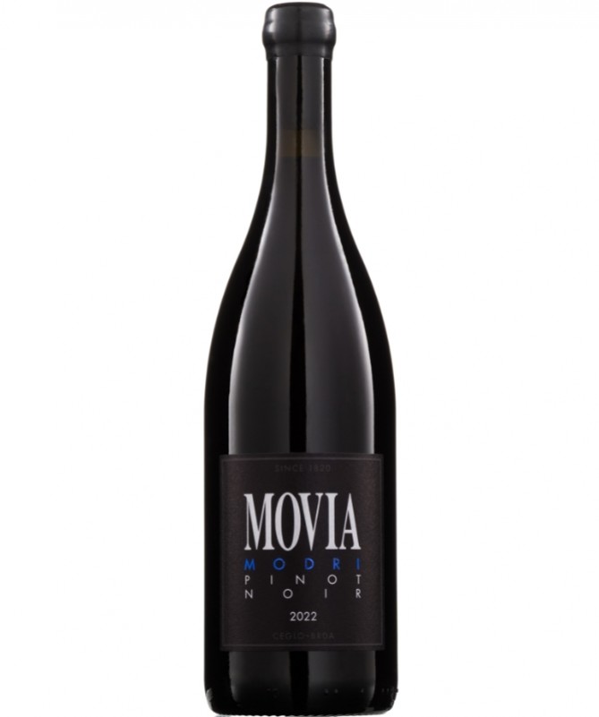 Modri Pinot 2022 - movia.si Modri Pinot 2022 - movia.si