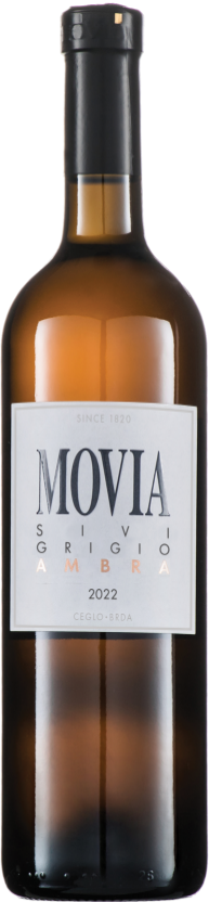 Pinot Grigio Ambra VV 2023 Pinot Grigio Ambra VV 2023