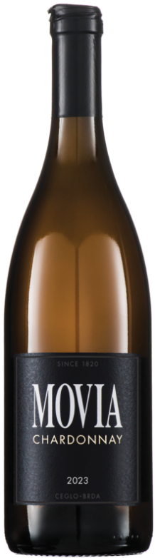 Chardonnay VV 2023 Chardonnay VV 2023