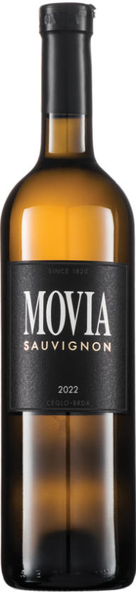 Sauvignon 2022 Sauvignon 2022