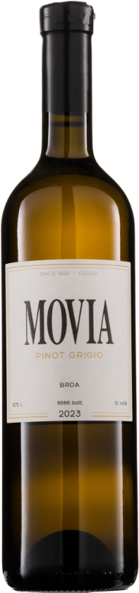 Sivi Pinot 2023 Sivi Pinot 2023