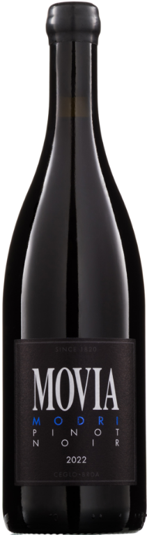 Modri Pinot 2022 Modri Pinot 2022