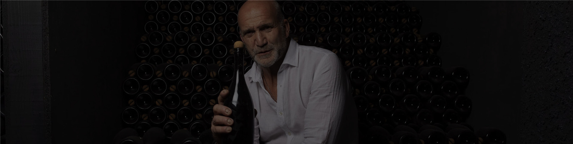 Puro Rose 2019 Puro Rose 2019