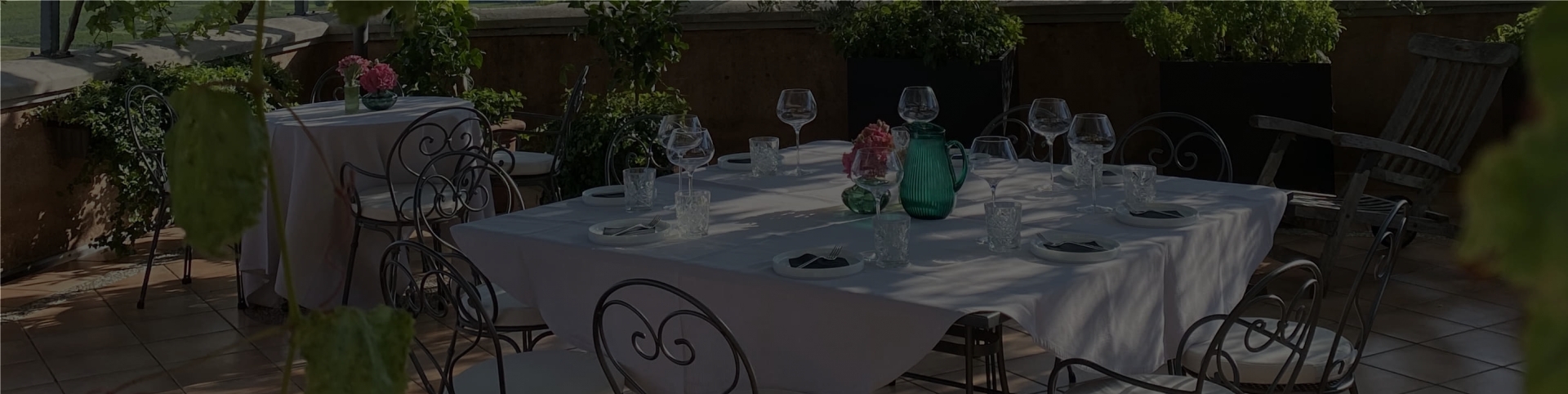 Your message has been sent successfully